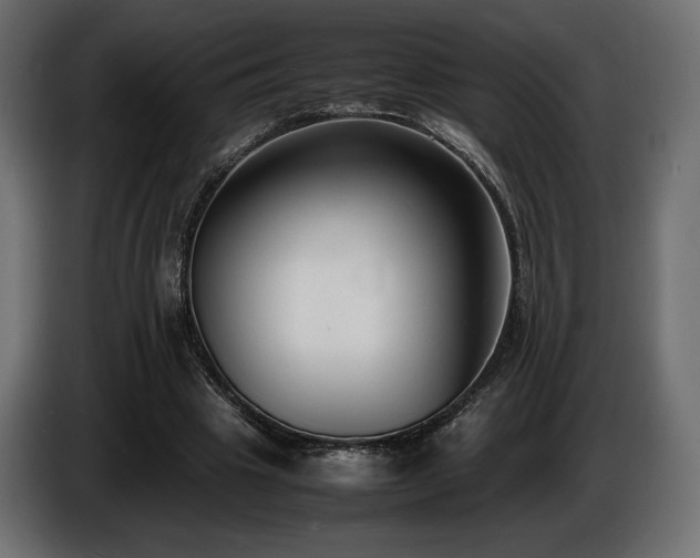 X0000086720441200704131048