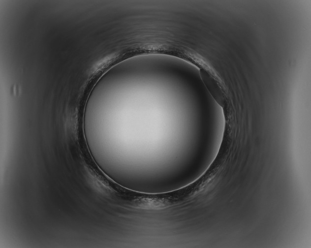 X0000086720442200704131048