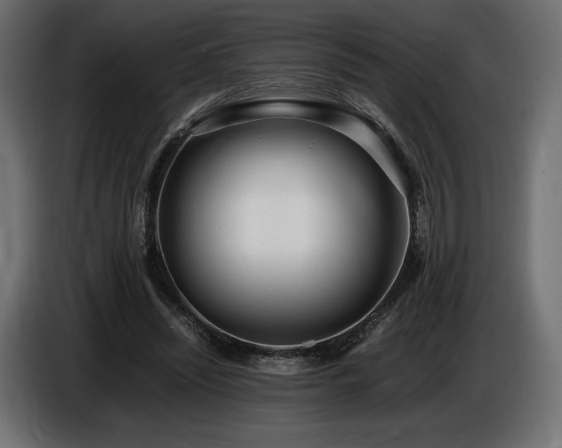 X0000086720444200704131048