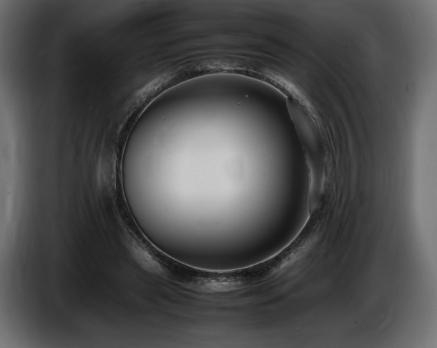 X0000086720445200704131048