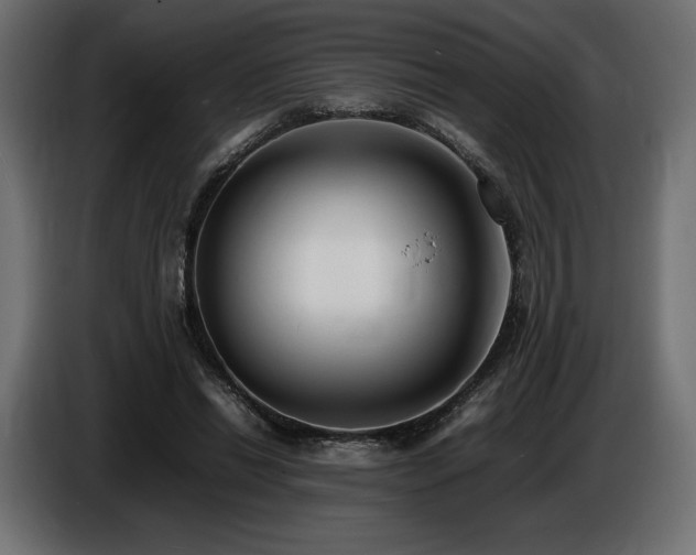 X0000086720446200704131048