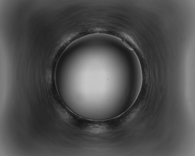 X0000086720447200704131048