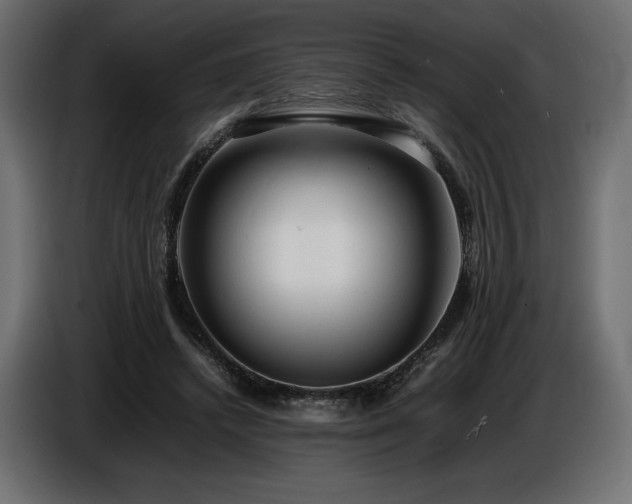 X0000086720448200704131048
