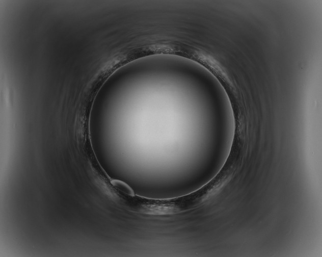 X0000086720449200704131048