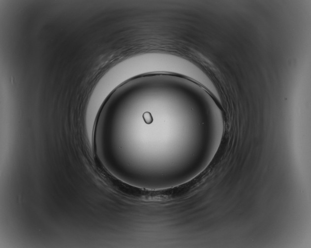X0000086720452200704131048