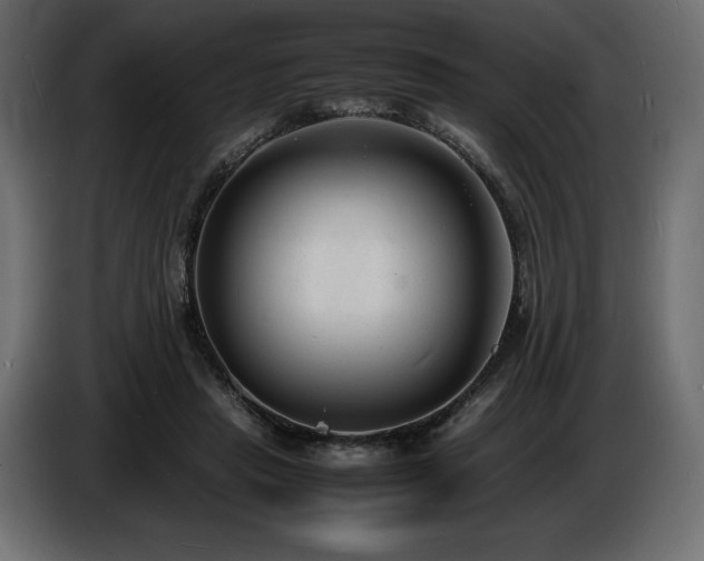 X0000086720453200704131048
