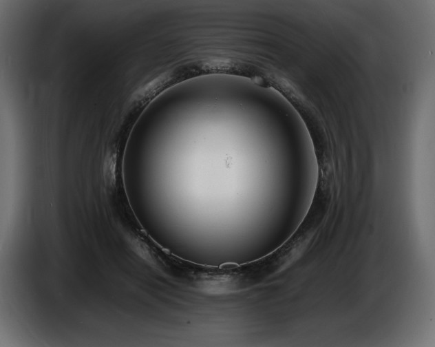 X0000086720454200704131048