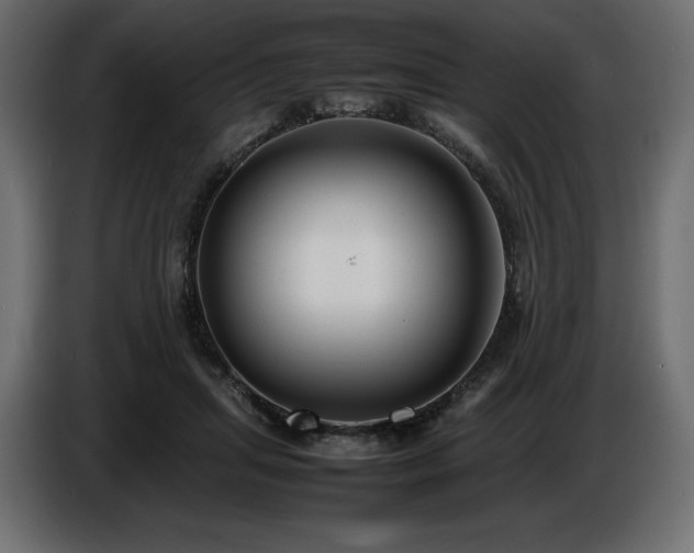 X0000086720455200704131048