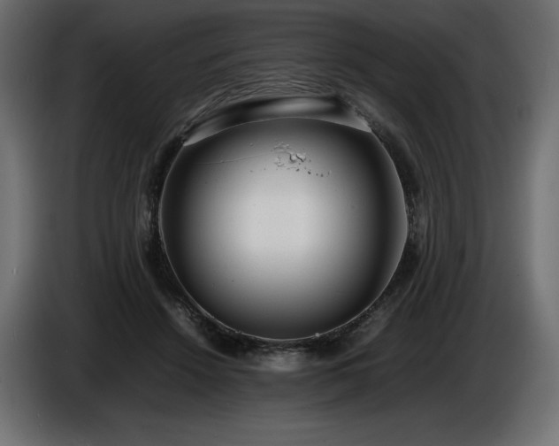 X0000086720456200704131048