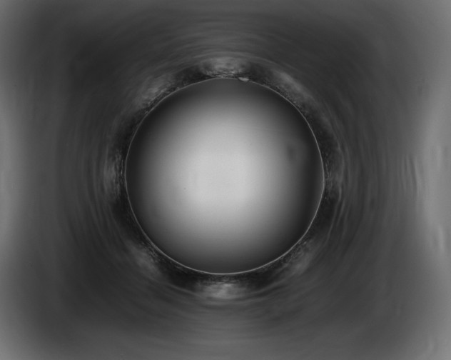 X0000086720460200704131048