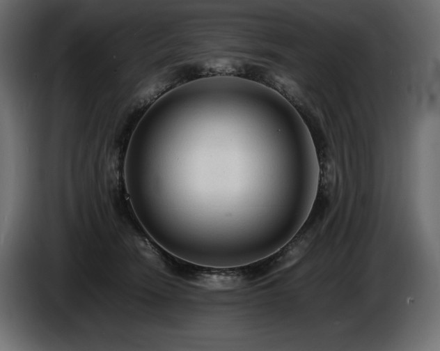 X0000086720466200704131048