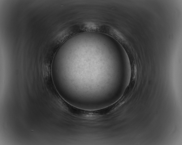 X0000086720467200704131048
