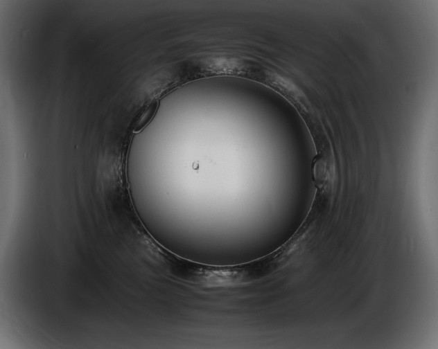 X0000086720473200704131048