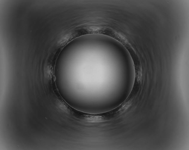 X0000086720476200704131048