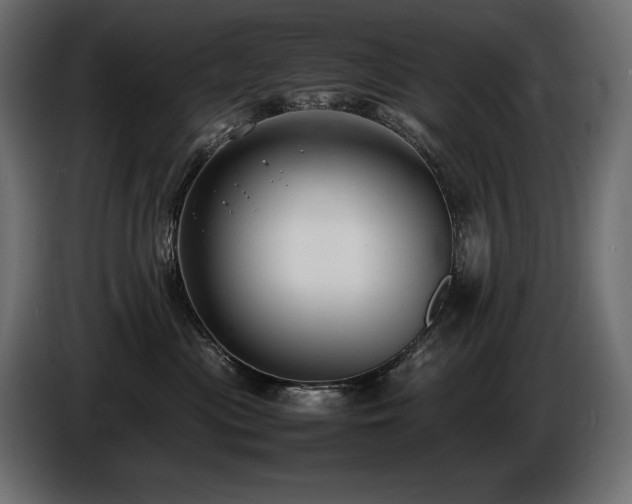 X0000086720477200704131048