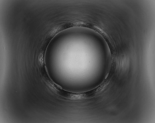 X0000086720479200704131048