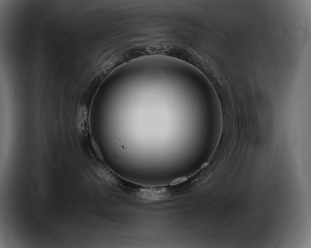 X0000086720480200704131048