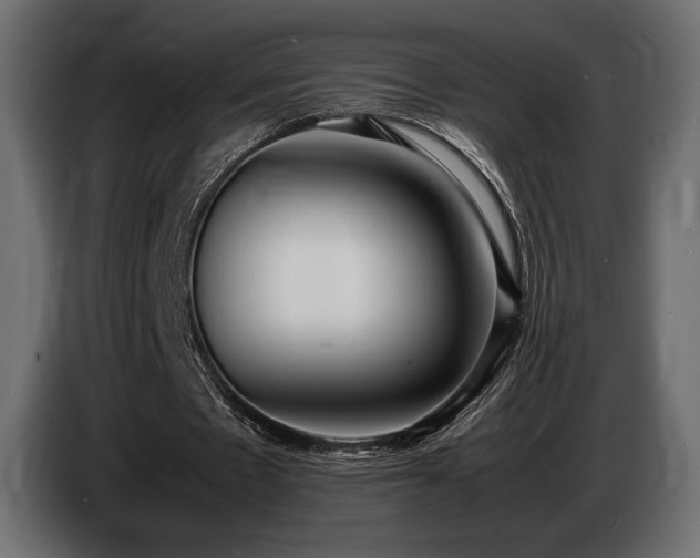 X0000086720481200704131048