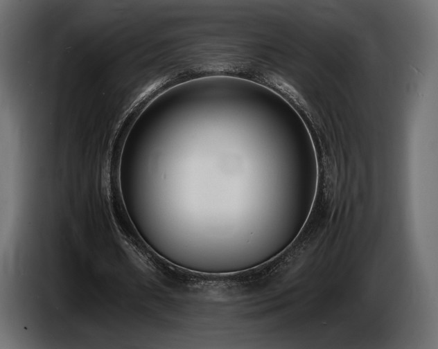 X0000086720482200704131048