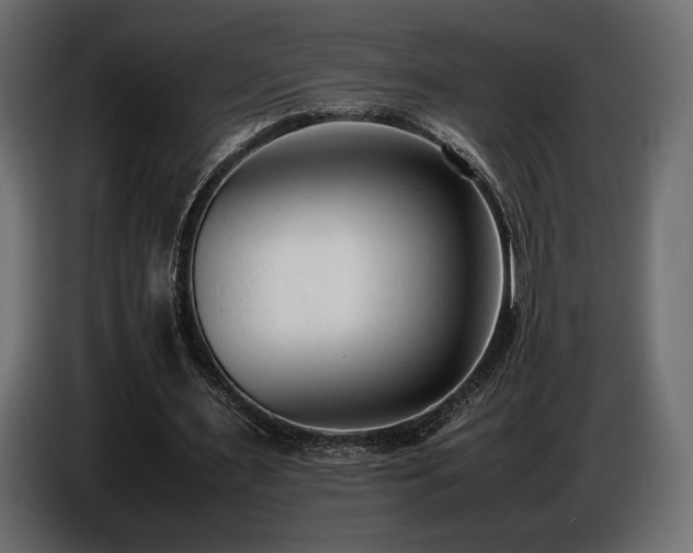 X0000086720483200704131048
