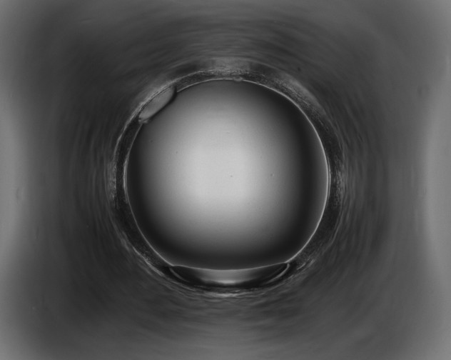 X0000086720484200704131048