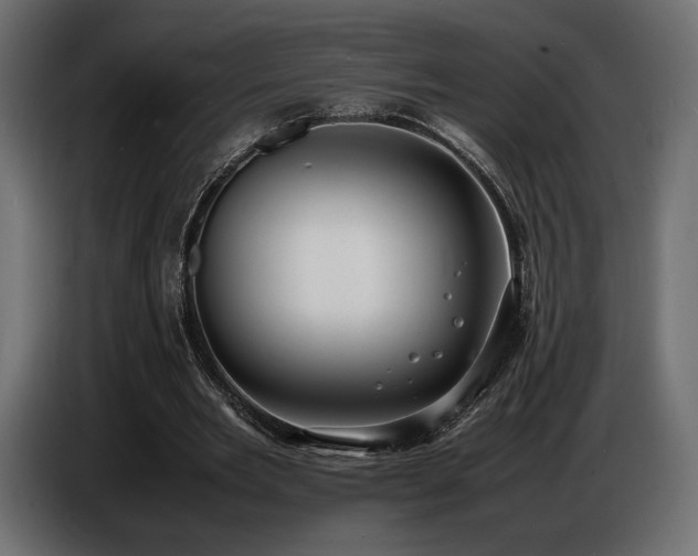 X0000086720485200704131048