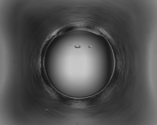 X0000086720486200704131048