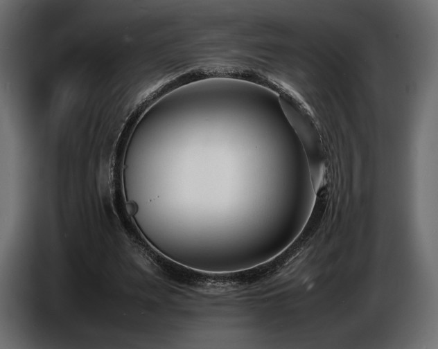 X0000086720487200704131048
