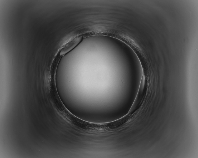 X0000086720488200704131048