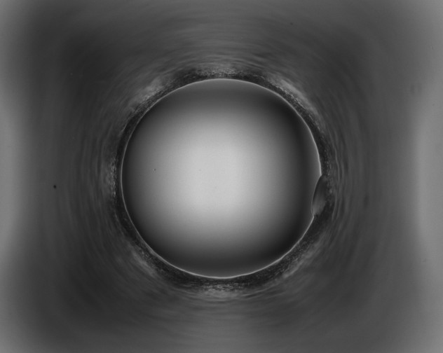 X0000086720489200704131048