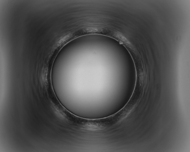 X0000086720490200704131048