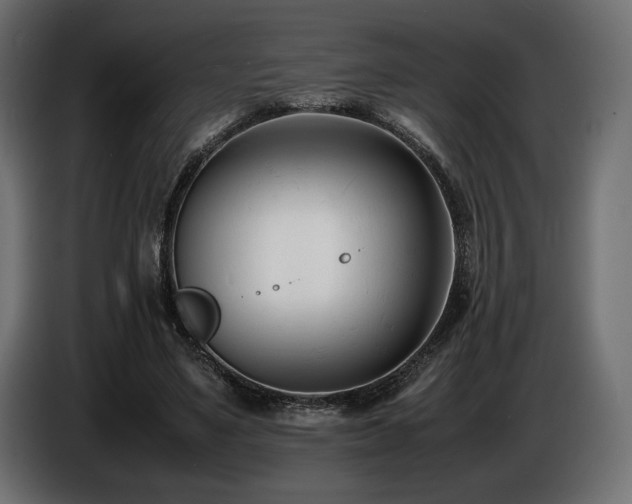 X0000086720491200704131047