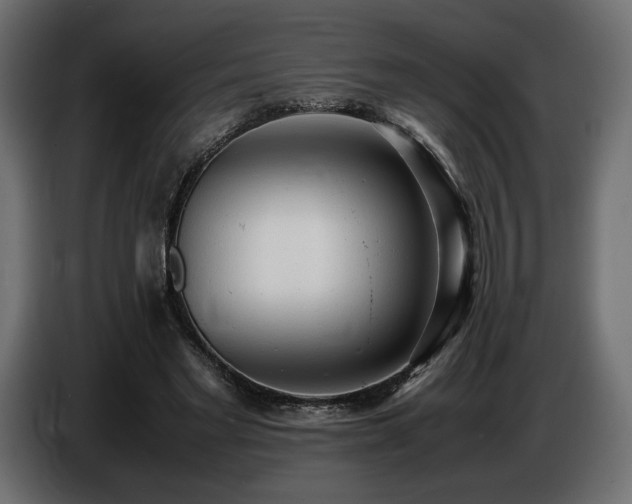 X0000086720493200704131047