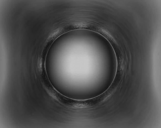 X0000086720494200704131047