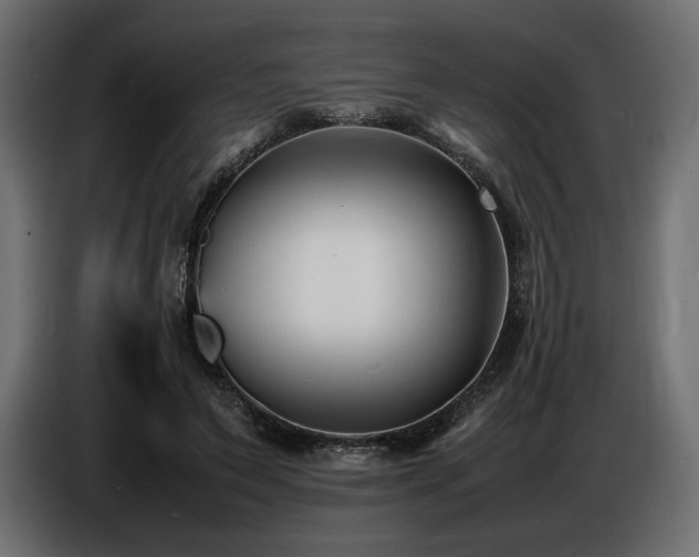 X0000086720495200704131047