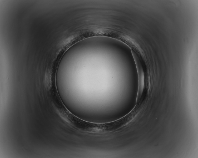 X0000086720496200704131047