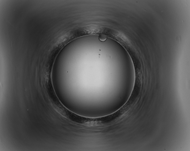 X0000086720499200704131047