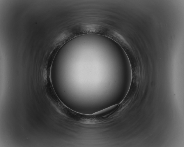 X0000086720500200704131047