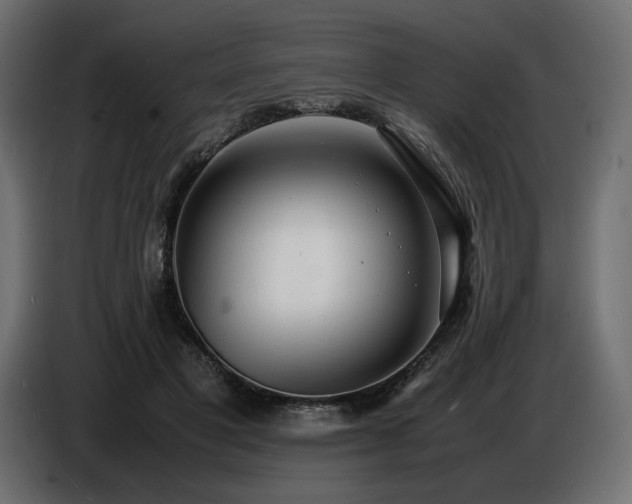 X0000086720501200704131047