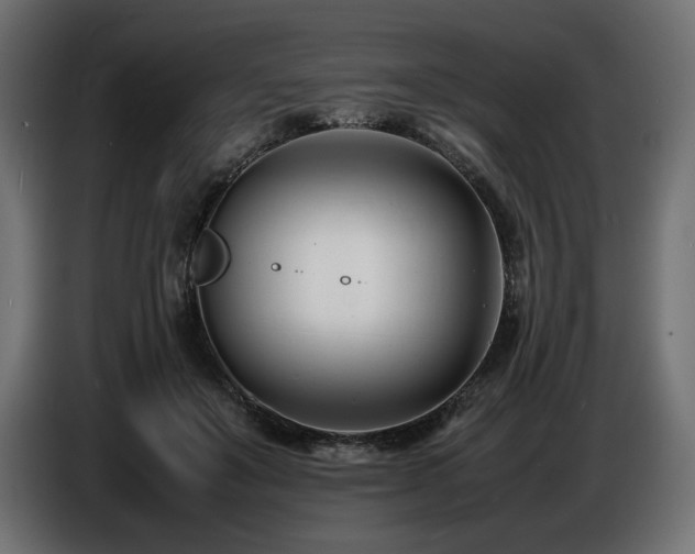 X0000086720503200704131047