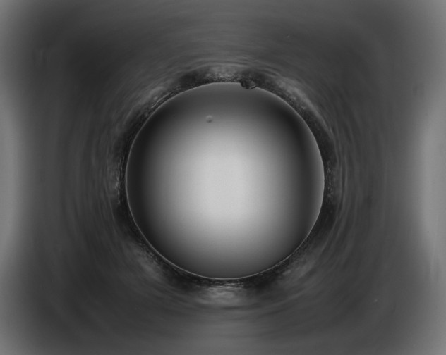X0000086720505200704131047