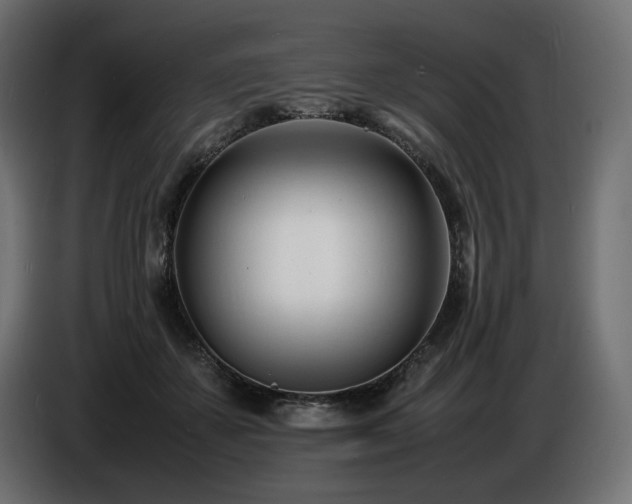 X0000086720507200704131047