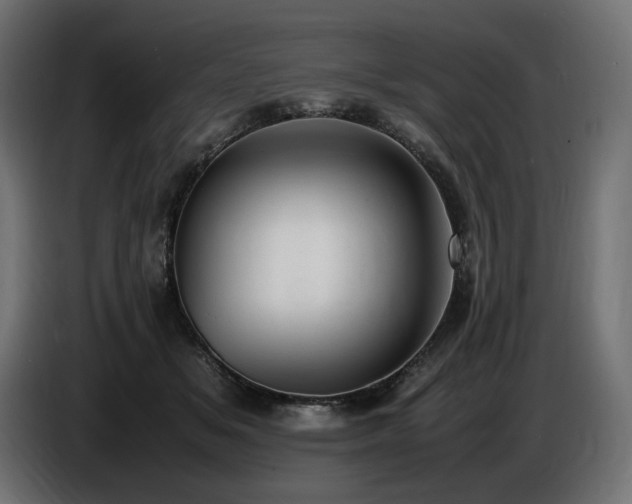 X0000086720509200704131047