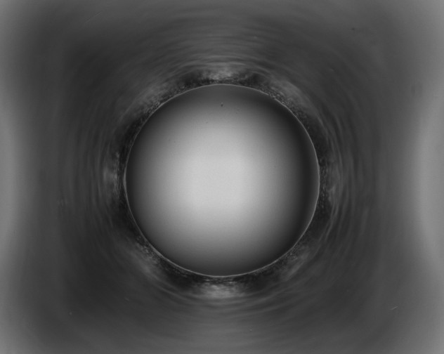 X0000086720510200704131047