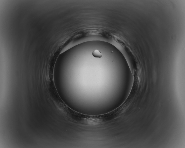 X0000086720512200704131047