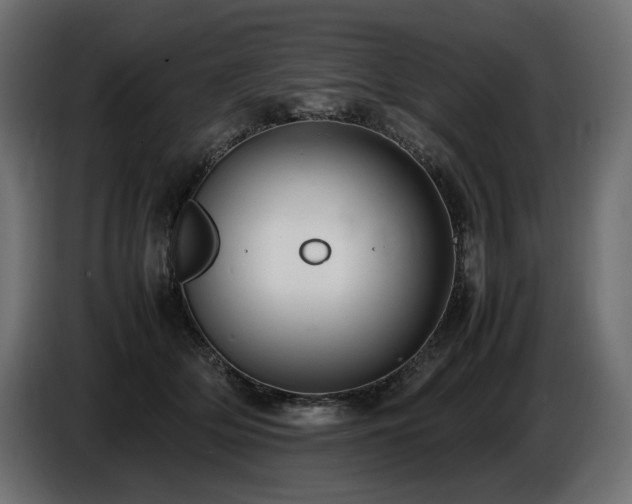 X0000086720514200704131047