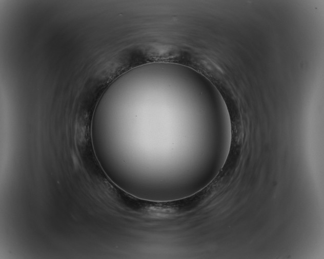 X0000086720515200704131047
