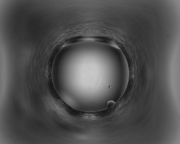 X0000086720519200704131047