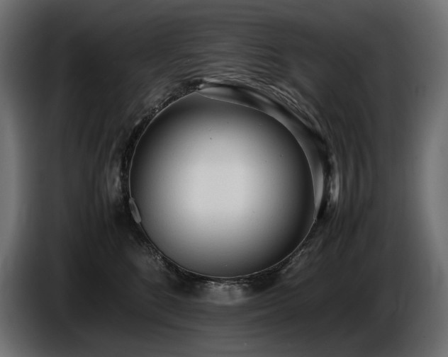 X0000086720520200704131047