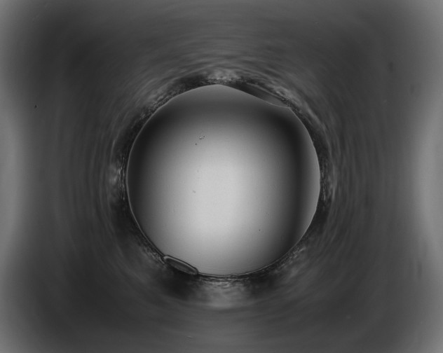 X0000086720521200704131047